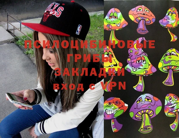 шишки Алзамай