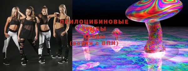 шишки Алзамай