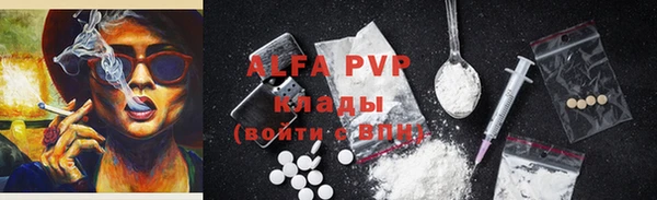 шишки Алзамай