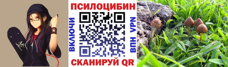 купить  цена  Спасск  Псилоцибиновые грибы Psilocybine cubensis 
